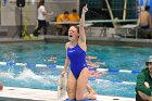 Swimming & Diving vs Babson  Swimming & Diving vs Babson College. - Photo by Keith Nordstrom : Wheaton, Swimming